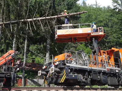 Un copac a blocat șase ore calea ferată pe Valea Prahovei Foto: Club Feroviar