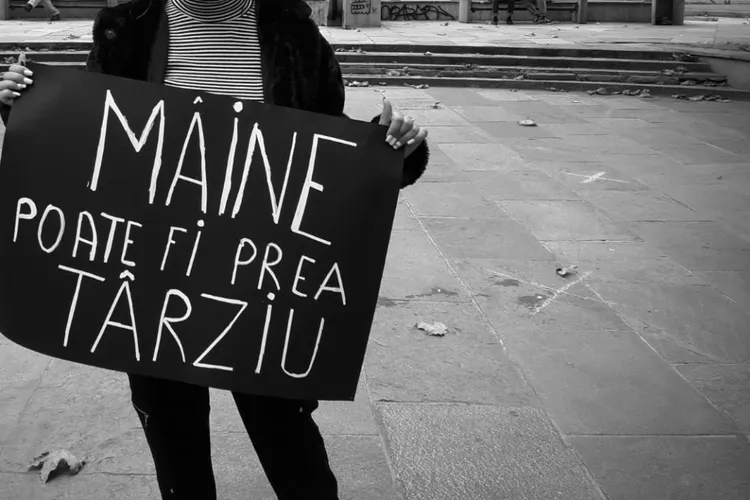 Epidemie de violență împotriva femeilor (UE) (sursa: Facebook/Centrul FILIA)