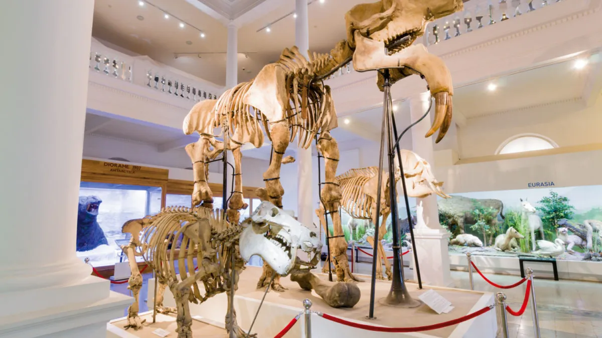 Iliescu este internat la spitalul Grigore Antipa, a anunțta un reporter TVR Foto: Muzeul Antipa