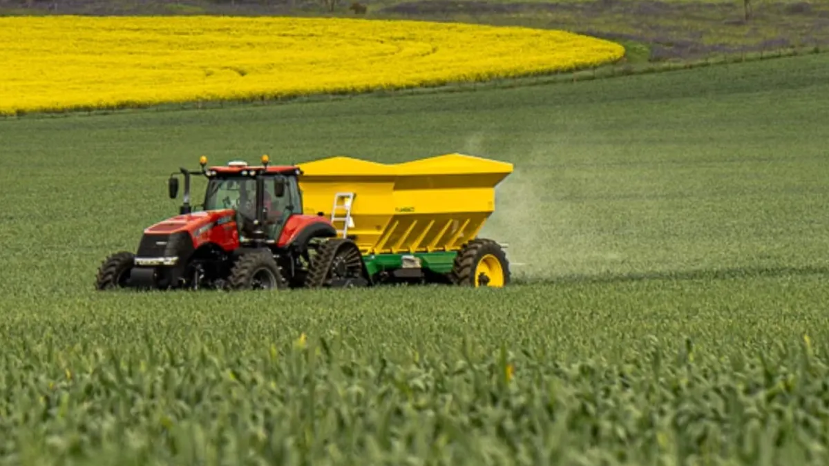 Un tractor aruncă îngrășământ pe un câmp cu rapiță