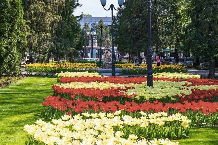 Iași Brașov sau Târgoviște (sursa: ziaruldeiasi.ro)