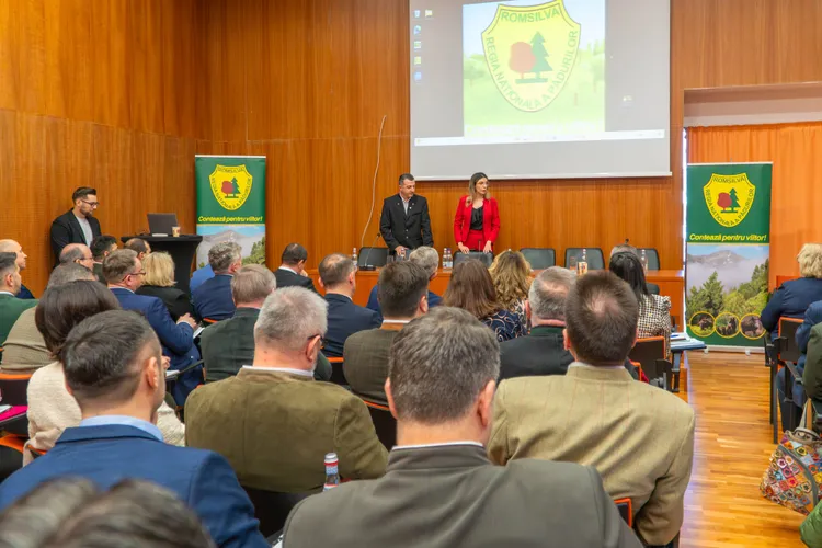 Romsilva solicită o reorganizare bazată pe analize solide (sursa: Facebook/Regia Nationala a Padurilor - Romsilva)