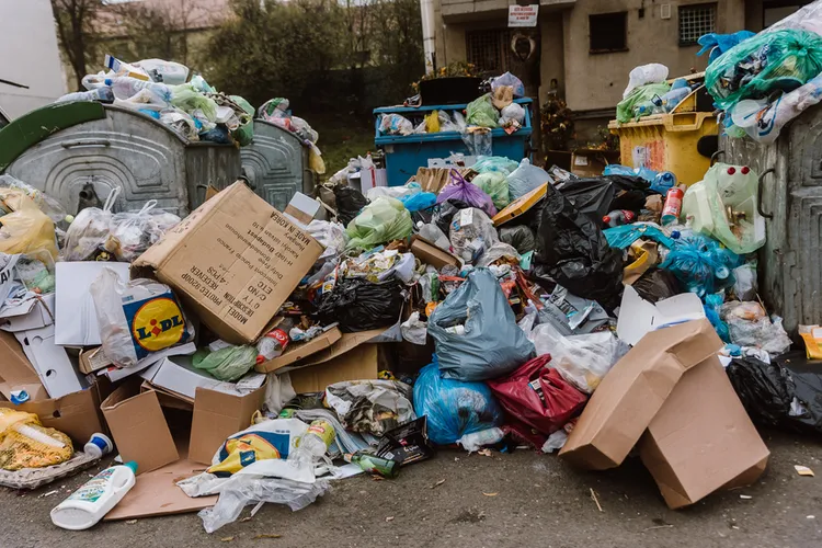 2.300 de tone de gunoi menajer, adunate pe domeniul public Foto: Facebook