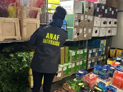 Nu te jupoaie Fiscul, te jupoaie AI-ul Foto: ANAF