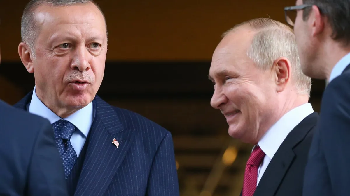 Erdogan i-a cerut lui Putin să oprească războiul (sursa: TheMoscowTimes)