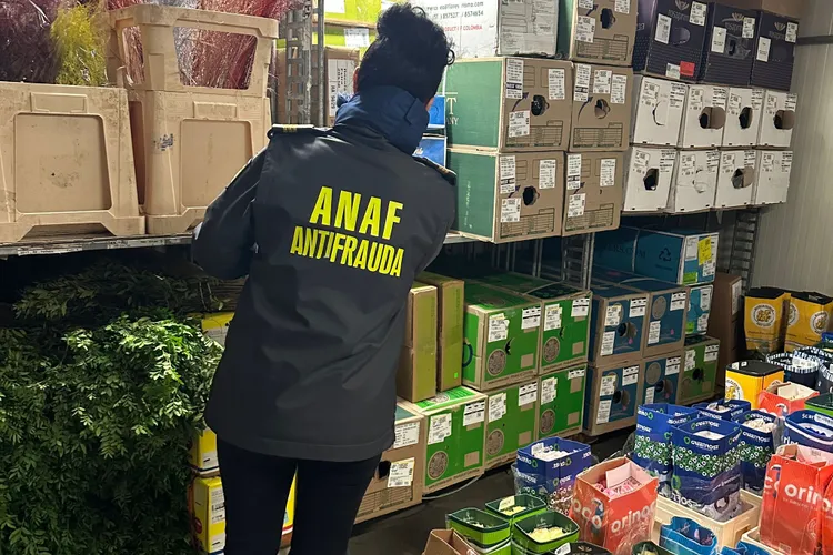 Nu te jupoaie Fiscul, te jupoaie AI-ul Foto: ANAF