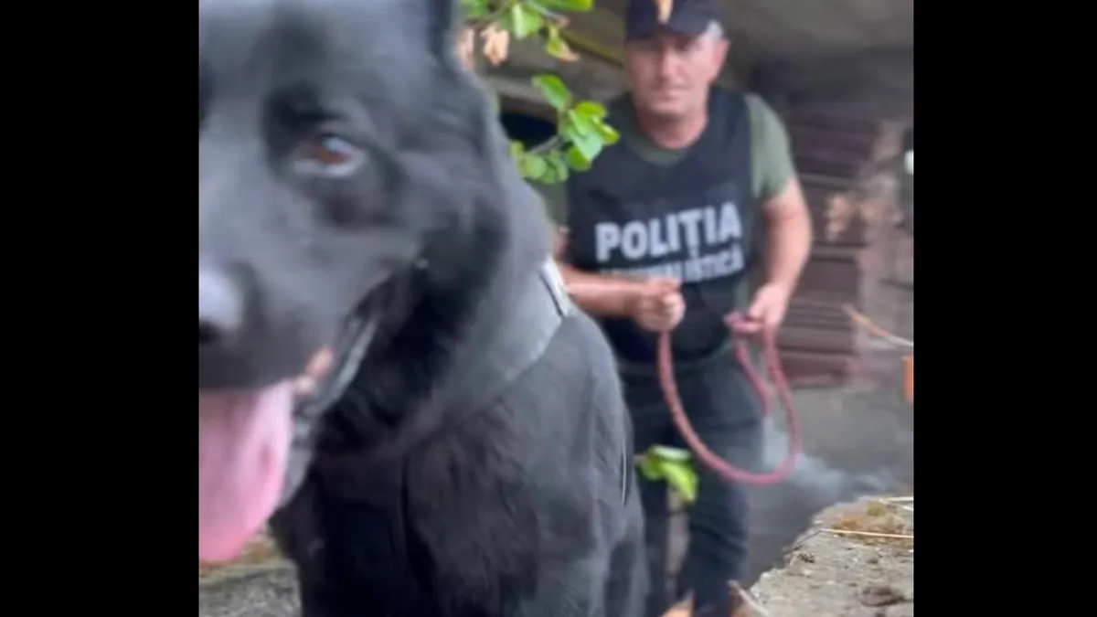 Ucigaș periculos, urmărit în județul Mureș (sursa: Facebook/Poliția Română)