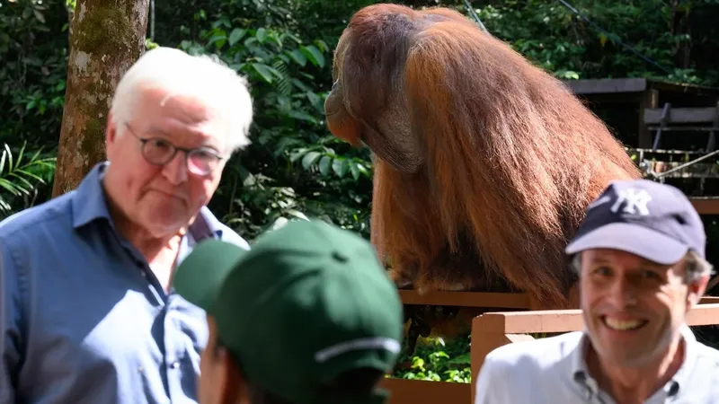 Președintele Germaniei și-a întrerupt, brusc, discursul, ca să nu-l streseze pe Edwin. Orangutanul-vedetă dintr-o rezervație din Borneo a venit să-l vadă pe Steinmeier Foto: Twitter