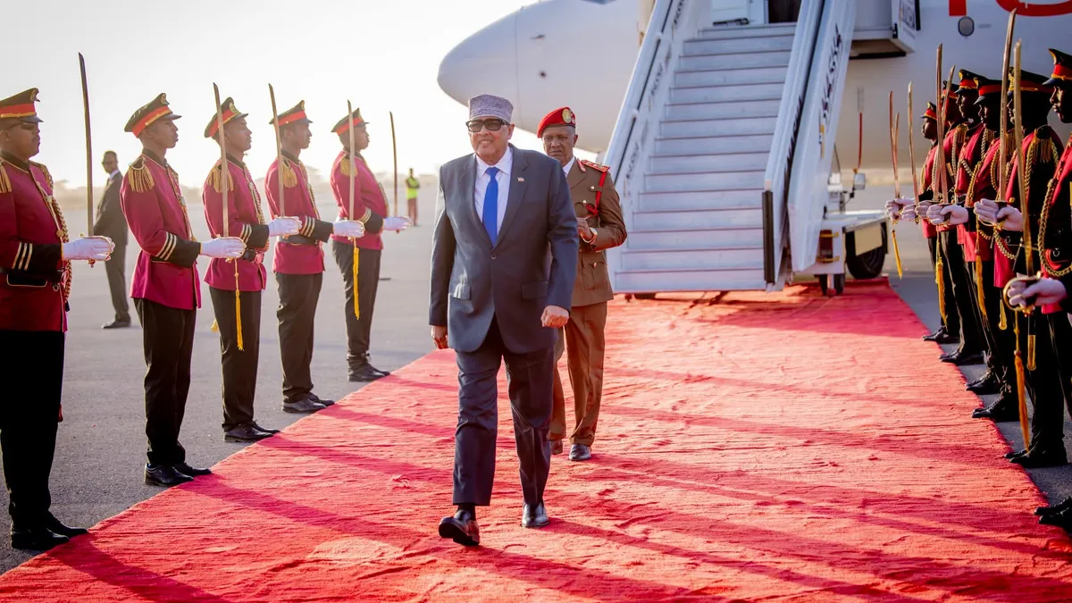 Somaliland oferă SUA acces la minerale rare (sursa: X/Presidency/Republic of Somaliland)