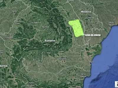 Pârșul moldovenesc din Miocenul Superior, descoperit (sursa: ziaruldeiasi.ro)