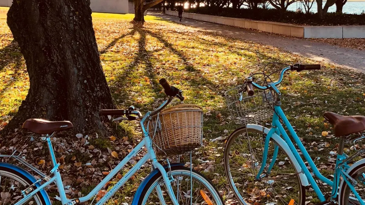 Piste de biciclete Iași, comune limitrofe (sursa: Pexels/Bear Gingerbliss)