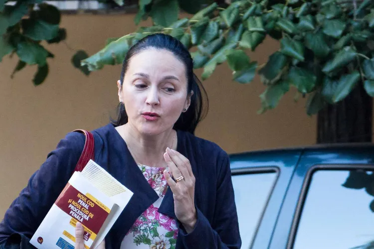 Pedeapsa Alinei Bica, considerată ca executată (sursa: Inquam Photos/Mircea Manole)