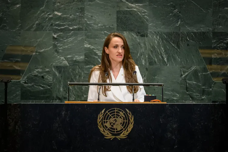 Drona de la Galați, reuniune ONU (sursa: Facebook/Ministerul Afacerilor Externe)