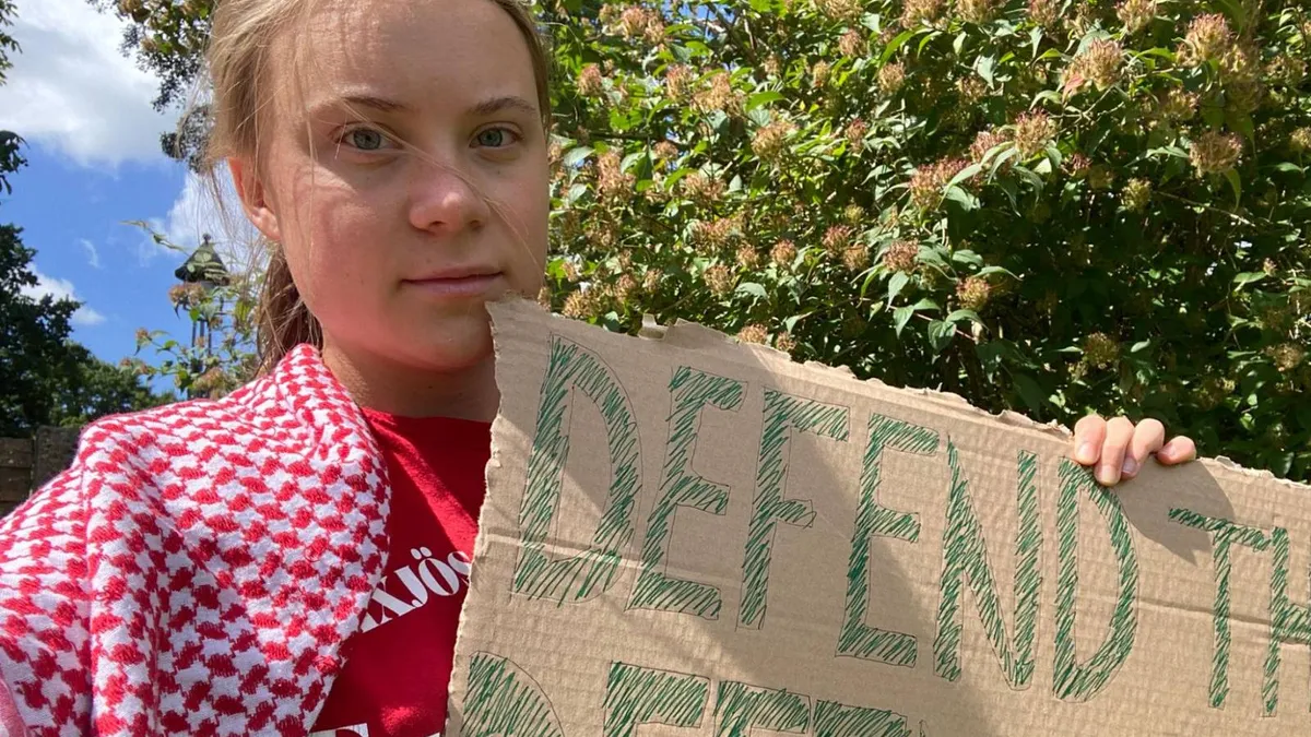 Greta Thunberg acuză Israelul de răpire (sursa: X/Greta Thunberg)