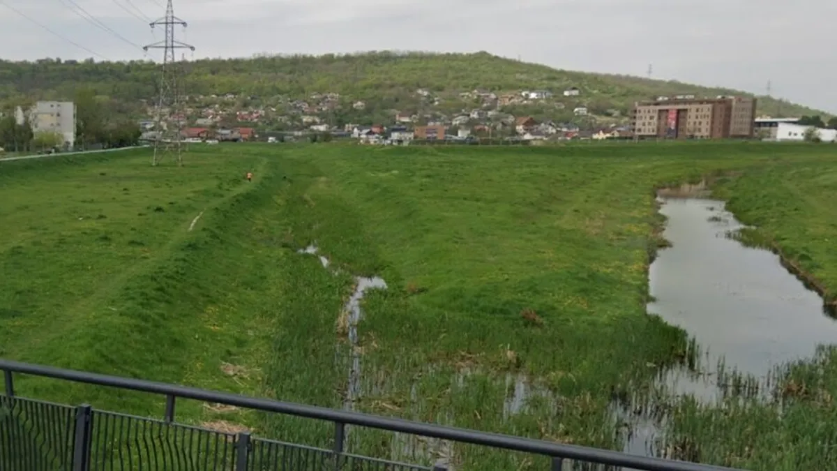 Primăria Iași vrea o deltă urbană (sursa: ziaruldeiasi.ro)