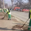 Măturător obligat să restituie 96 lei (sursa: Facebook/Salubris Iași)