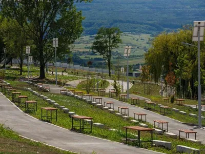 Cimitir-parc la Cluj, primul din România (sursa: Monitorul de Cluj)