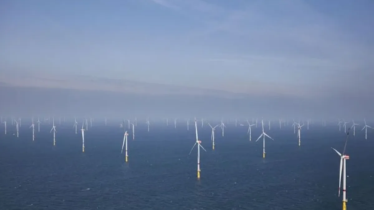 Migrația păsărilor oprește eolienele (Marea Nordului) (sursa: power-technology.com)