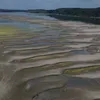 De ce scade Dunărea, deși în România a plouat abundent: explicațiile specialiștilor