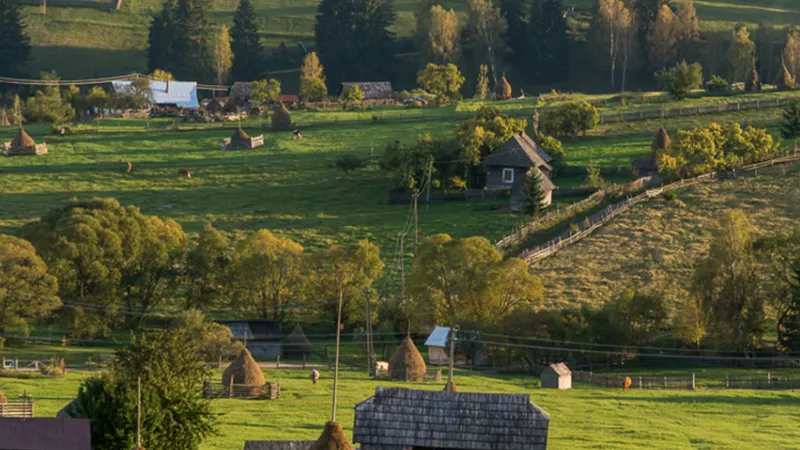 Țara Dornelor, destinație ecoturistică trei ani (sursa: Facebook/Ministerul Antreprenoriatului şi Turismului)