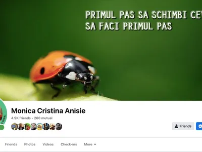 Profesoara de română Anisie, greșeli gramaticale (sursa: Facebook/Monica Cristina Anisie)