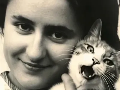 Motanul Zeppelin, reînviat prin tehnologie AI (sursa: ziaruldeiasi.ro)