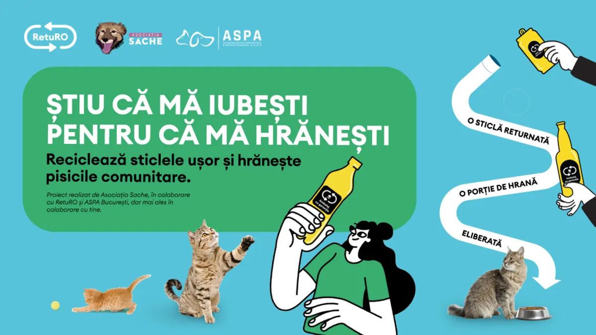 Asociația Sache și RetuRO hrănesc pisicile comunitare (sursa: RetuRO)