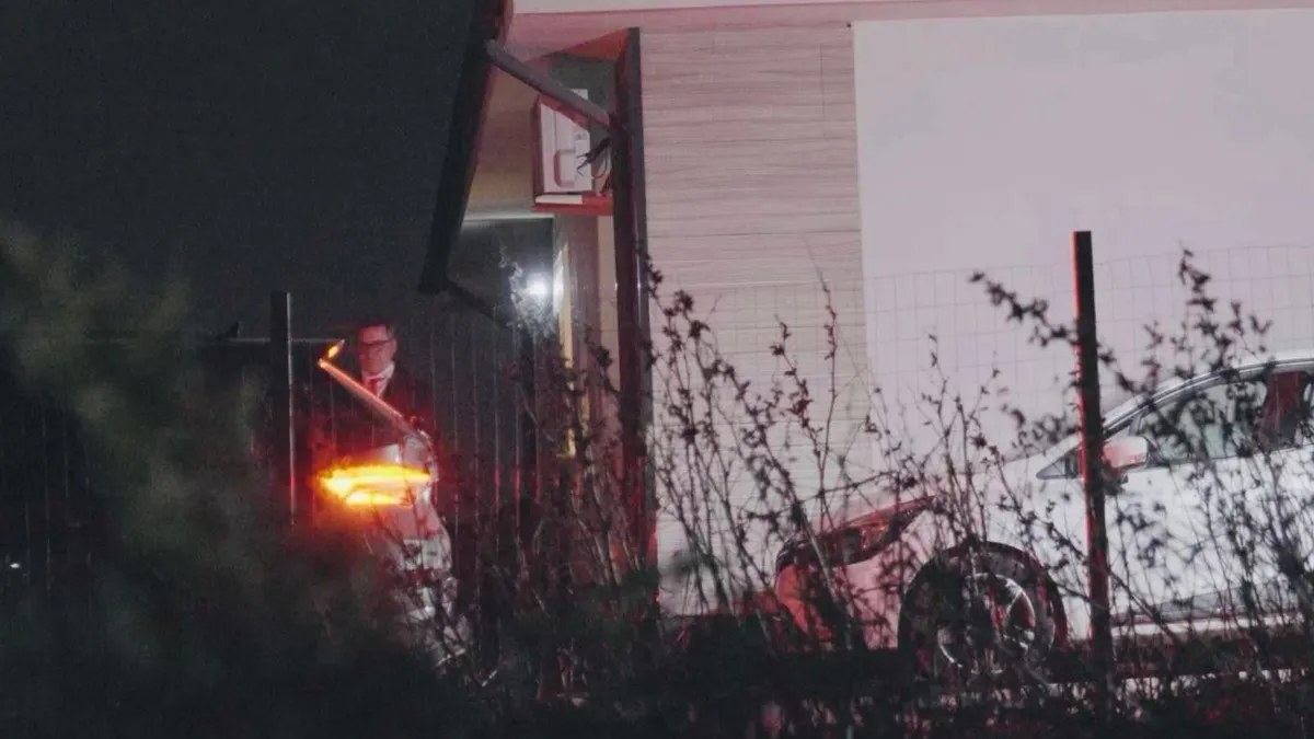 „Nicușor Dan, introdus artificial” în fotografiile publicate de Lasconi, spune un specialist în comunicare vizuală Foto: Facebook Elena Lasconi