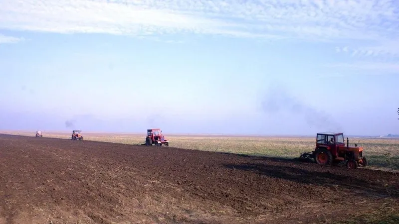 Prețurile terenurilor agricole, în continuă creștere (sursa: ziaruldeiasi.ro)