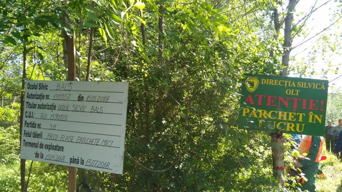 Seceta oprește recoltarea măceșelor în Olt (sursa: Facebook/Romsilva - Direcția Silvică Olt)