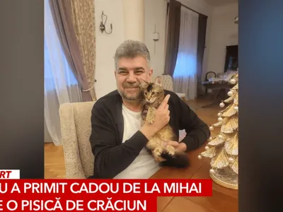 Noi culmi ale slugărniciei la Antena 3 Foto: Captură video