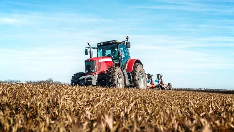 Moldova rămâne esențială în economia agricolă (sursa: ziaruldeiasi.ro)