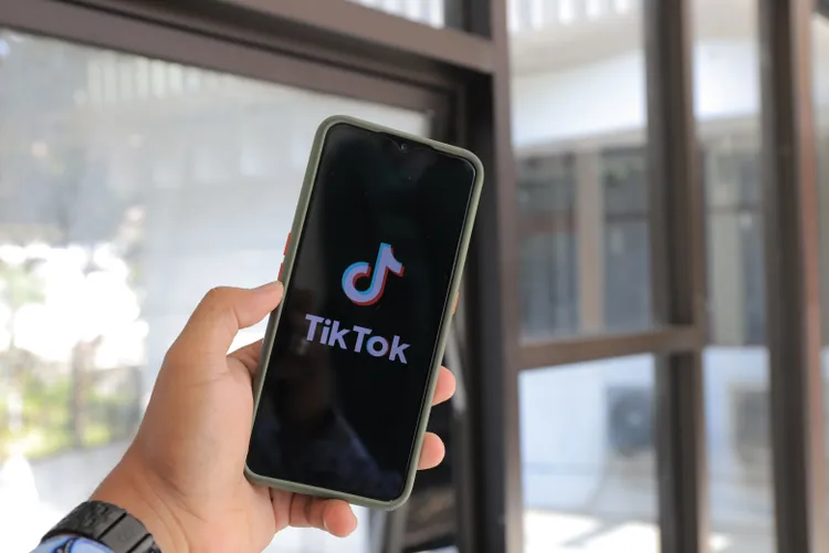 TikTok nu înseamnă carieră, avertizează BNR (sursa: Pexels/greenwish _)