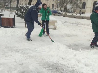 Bugetul astronomic pe care îl au primăriile de sector pentru salubrizare Foto: Facebook