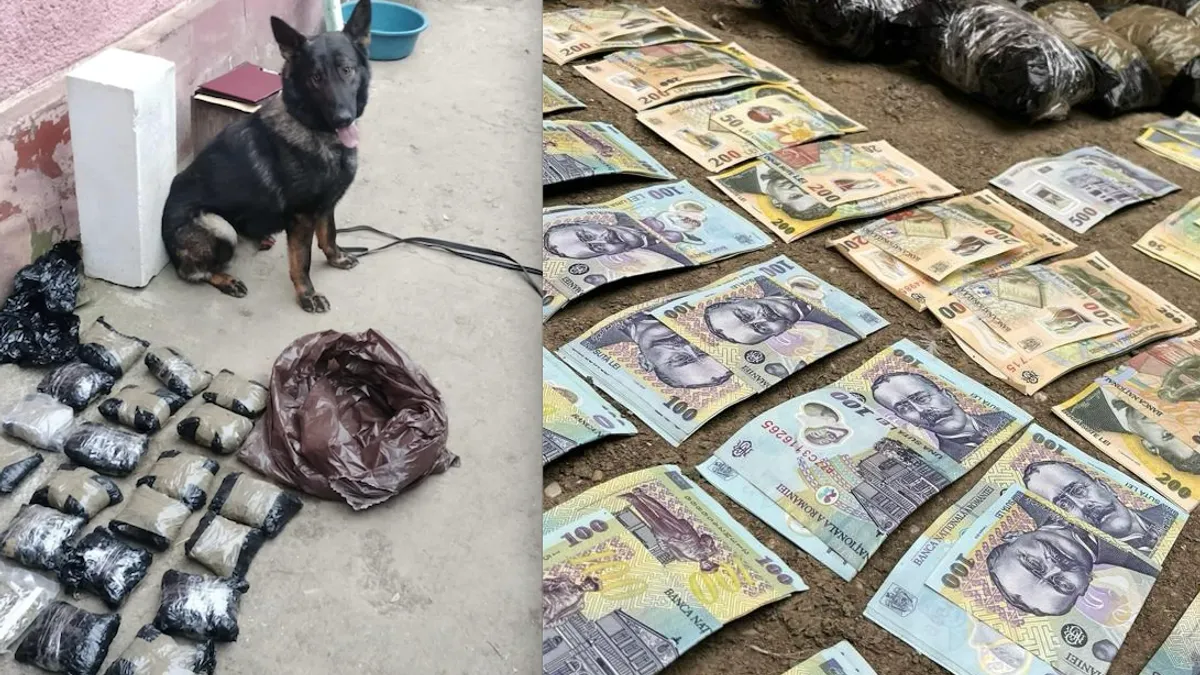 Pensionară din Ialomița, dealer de cocaină (sursa: DIICOT)