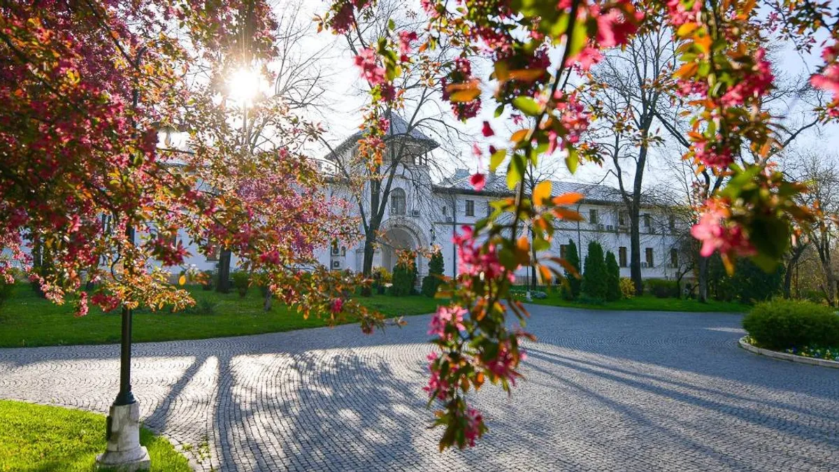 Costurile alegerilor prezidențiale au fost anunțate (sursa: Facebook/Administrația Prezidențială a României)