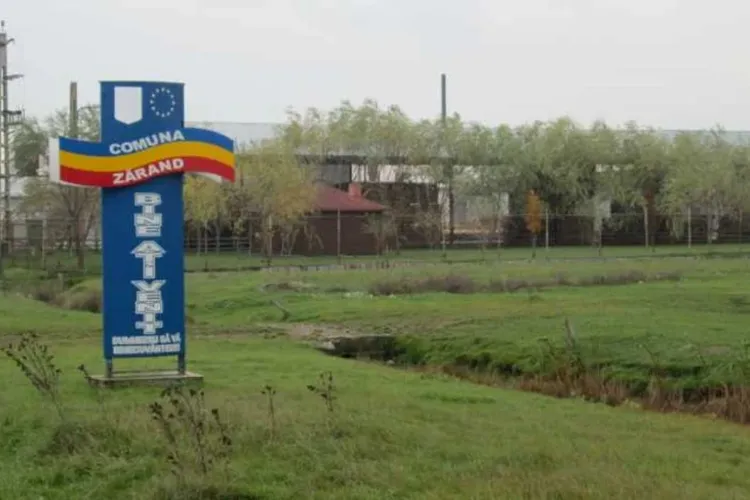 Primăria Zarand nu are bani să plătească despăgubiri unei angajate concediate ilegal