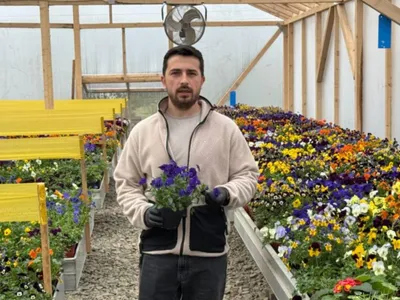 Florile comestibile, afacerera unui antreprenor ieșean (sursa: ziaruldeiasi.ro)
