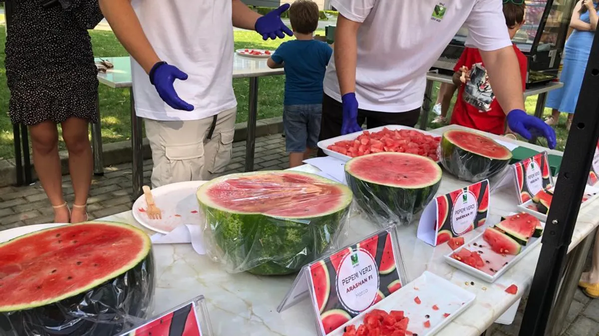 Cum alegi cel mai bun pepene (sursa: ziaruldeiasi.ro)