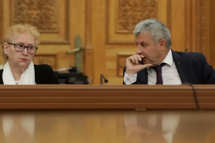 Renate Weber, care susținea teoriile rusești despre Deveselu, atacă la CCR ordonanța SAFE Foto: Adevărul