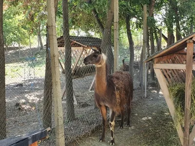 Arca lui Alexe Tablă, fără autorizație (sursa: ziaruldeiasi.ro)