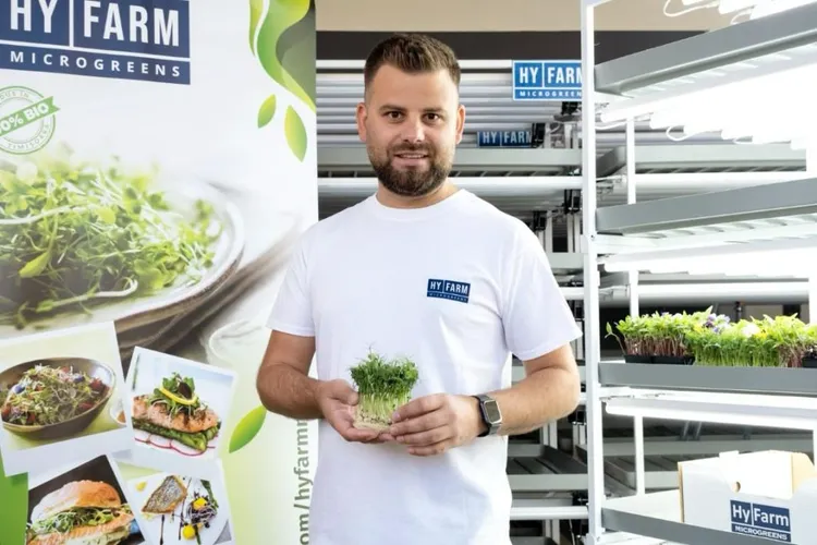 Microplante în franciză, o afacere europeană (sursa: ziaruldeiasi.ro)