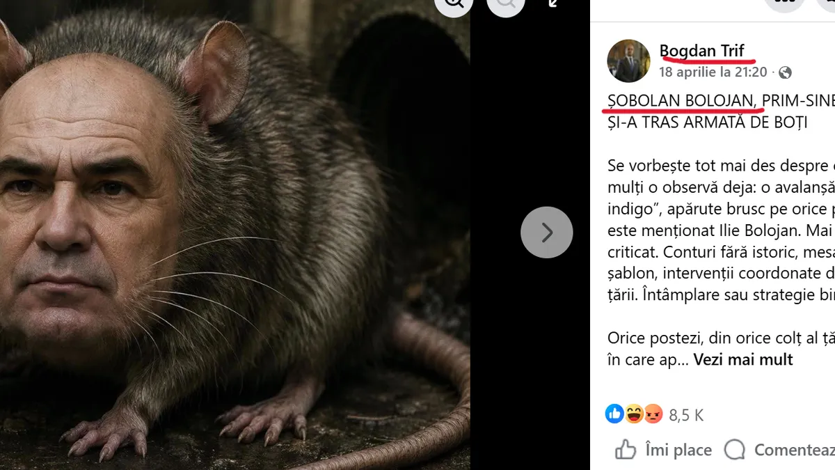 PSD ar depune plângere penală împotriva meme-urilor cu șobolani, dar și-ar încrimina conducerea Foto: Print-screen Bogdan Trif