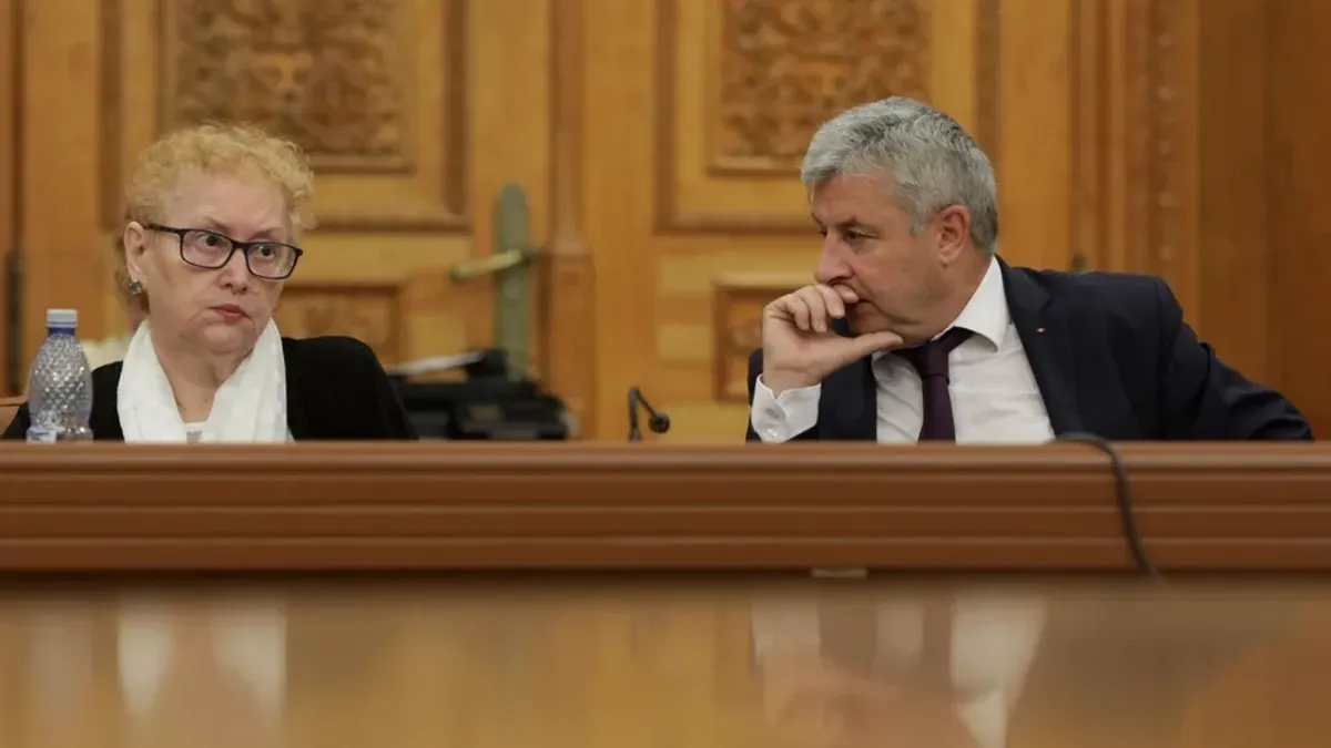 Renate Weber, care susținea teoriile rusești despre Deveselu, atacă la CCR ordonanța SAFE Foto: Adevărul