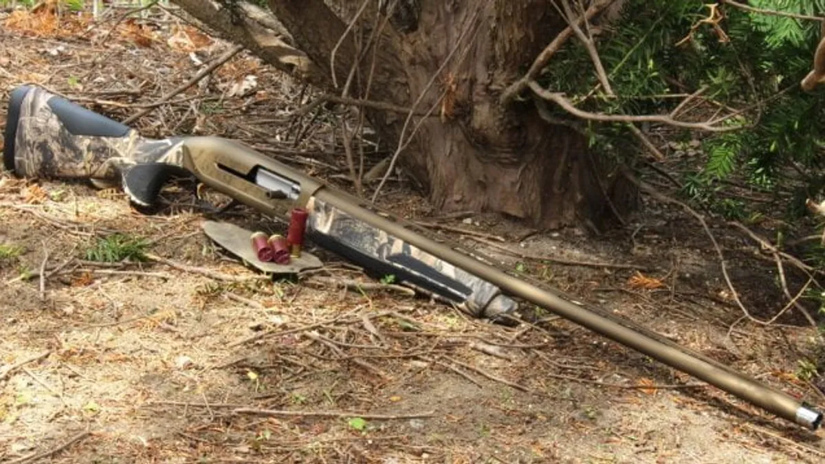 Porc din bătătură, împușcat cu carabina (sursa: ziaruldeiasi.ro)