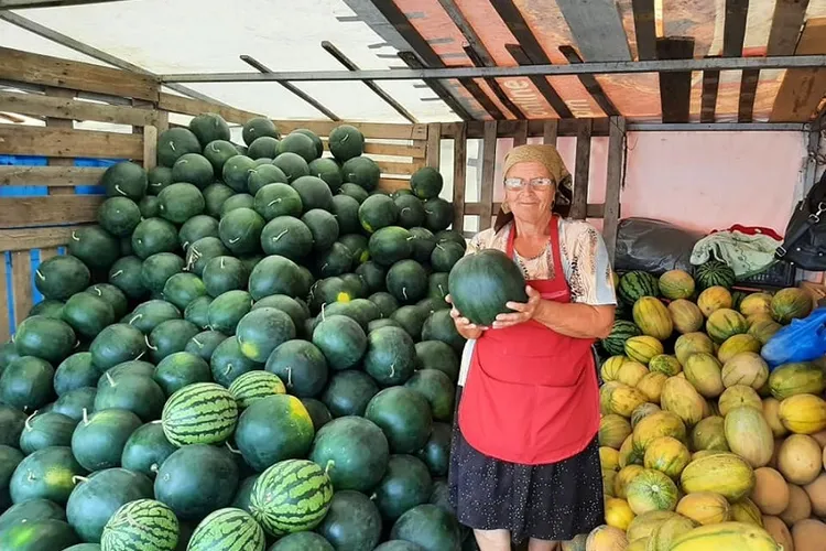 Guvernul vrea ca toate vânzările de legume, fructe, flori să fie făcute pe factură electronică Foto. News.ro