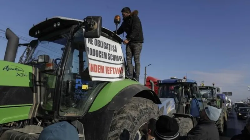 Protestatarii au oprit traficul pe autostrada București-Ploiești Foto: Inquam/Octav Ganea