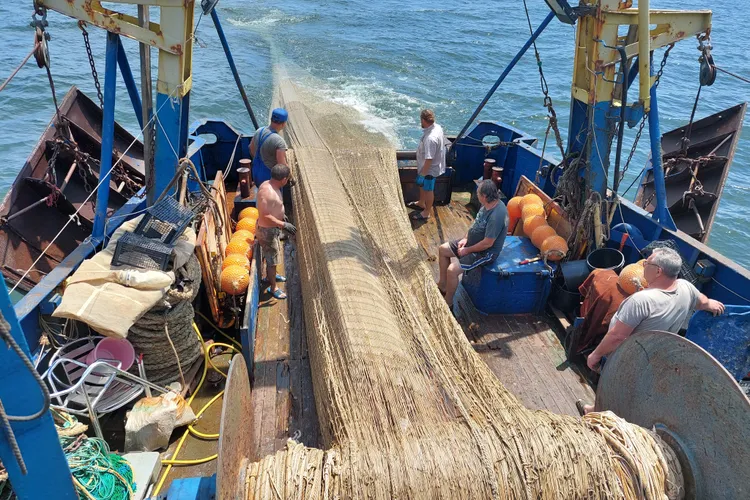 Invazia cancerului de război în Marea Neagră (sursa: INCDM "Grigore Antipa")