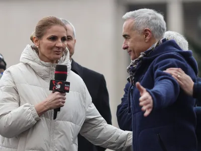 Divorț final între Anca Alexandrescu și fostul ei idol Foto: Inquam/Octav Ganea