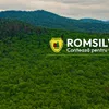 Romsilva recunoaște că oferă sindicatului nu doar mașini, ci și „spații adecvate”.